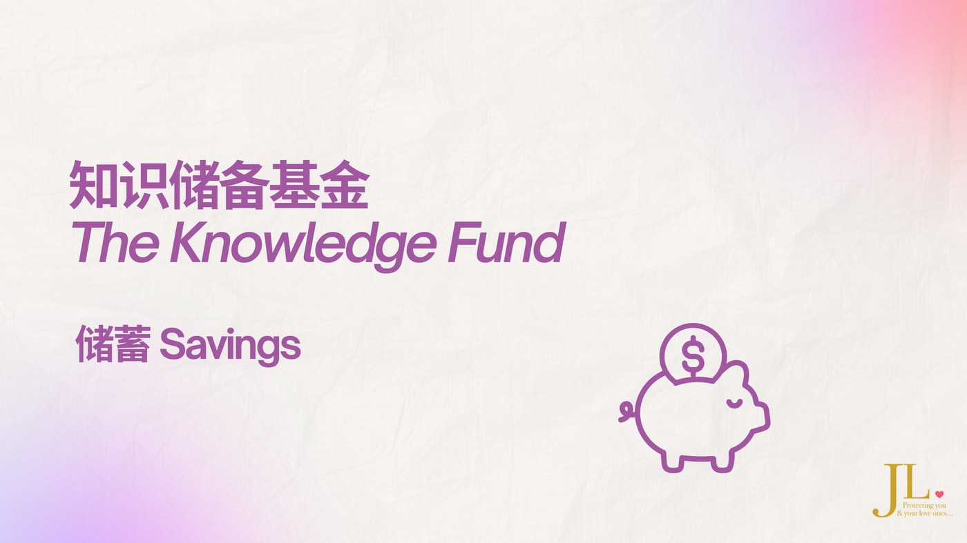 知识储备基金 / The Knowledge Fund — 储蓄 Savings